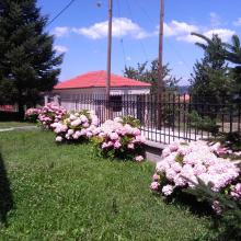 Kastania Village - Agrafa - Plastiras Lake